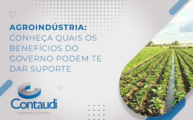 Agroindústria: conheça quais os benefícios do governo podem te dar suporte - Contaudi Assessoria Contábil